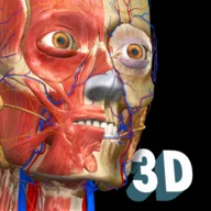 Anatomy Learning - 3D Anatomy