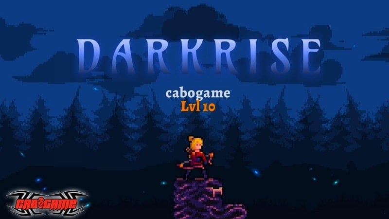 Darkrise - Pixel Action RPG