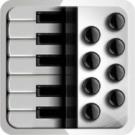 Accordion Piano Learn to Play