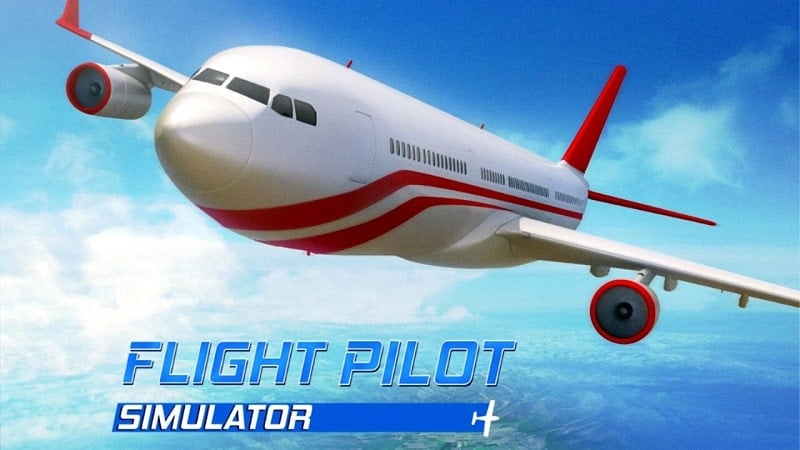 Flight Pilot: 3D Simulator