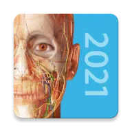 Human Anatomy Atlas 2024