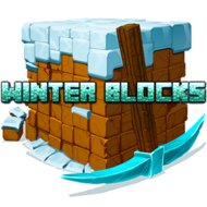 Winter Blocks