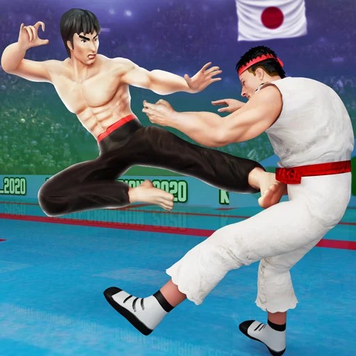 Karate Fighter Fighting Games