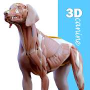 Complete Canine 3D
