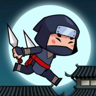 Ninja Stupid APK