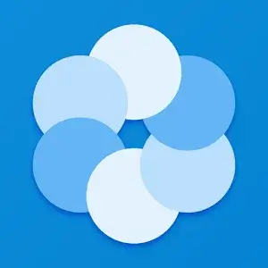 Bluecoins Finance