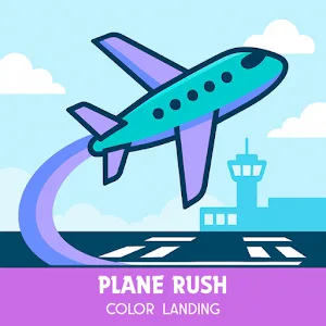 Plane Puzzle