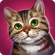 CatHotel - Hotel for cute cats