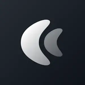 CHIC LIGHT Icon Pack